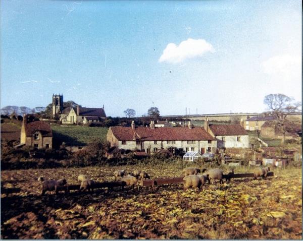 White Row Before Restoration